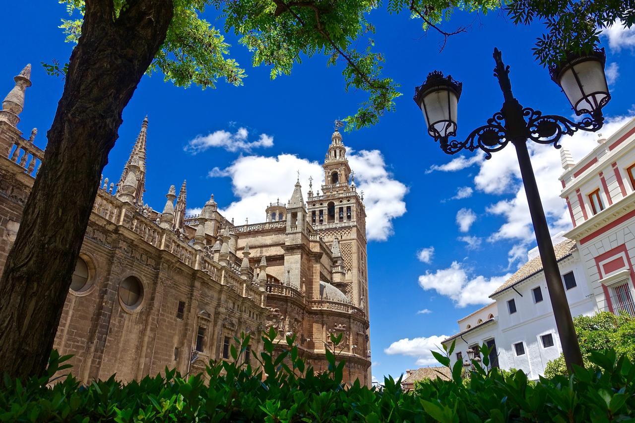 Hostly Acetres 1a Loft In Center, Comunal Terrace, Fibre,parking Optional Seville
