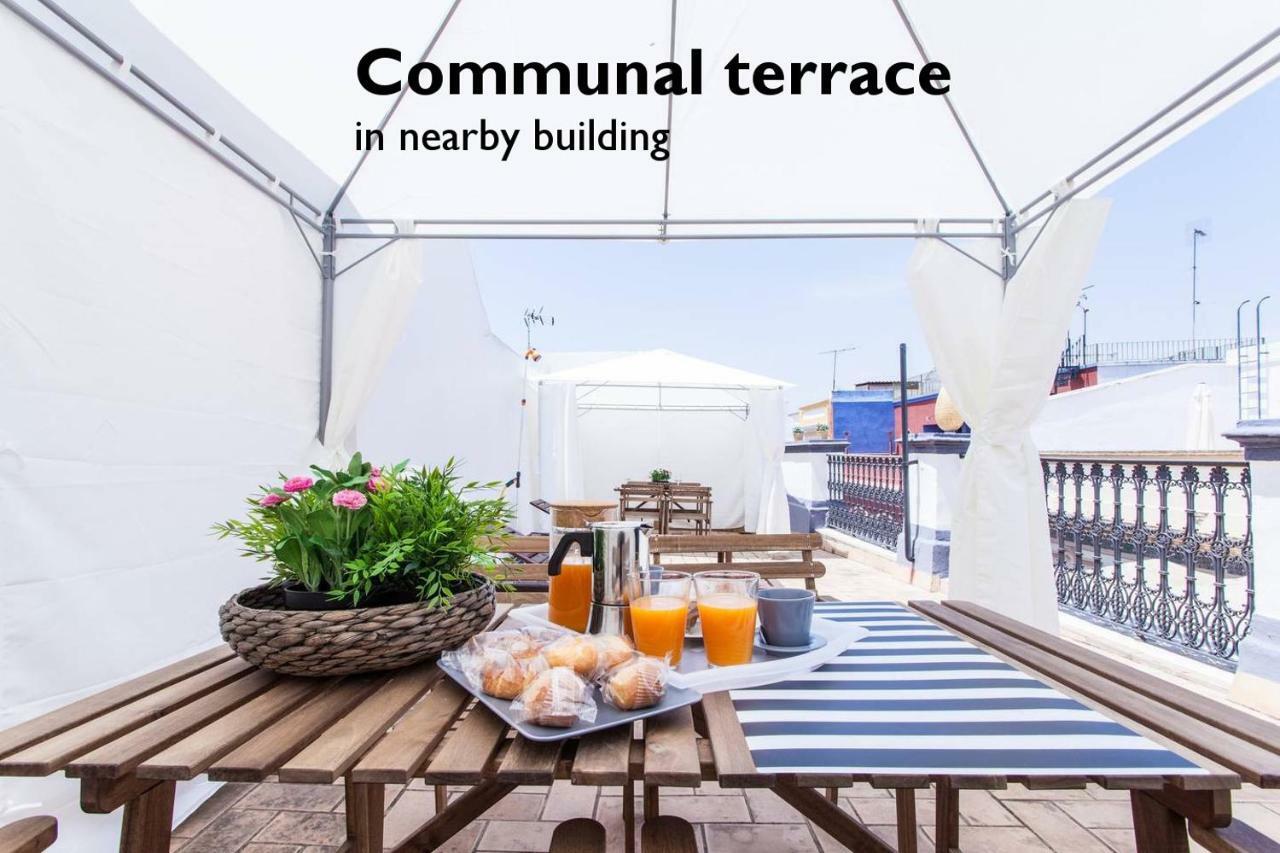 Hostly Acetres 1a Loft In Center, Comunal Terrace, Fibre,parking Optional Apartment *